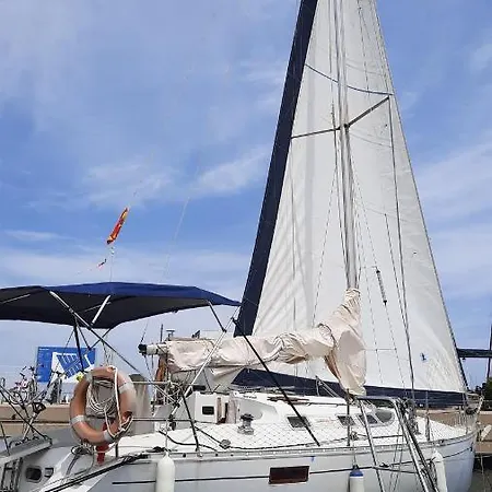 Velero Jaws Evasion Tekne Valensiya